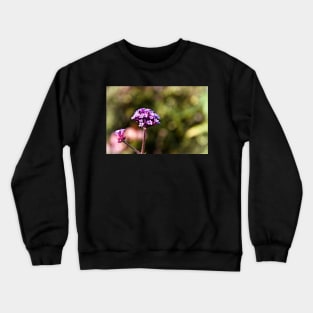 Pretty in Pink Crewneck Sweatshirt